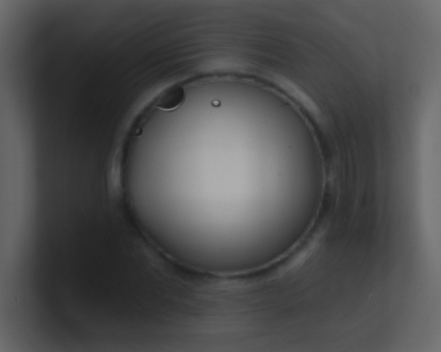 X0000100840877200807070931