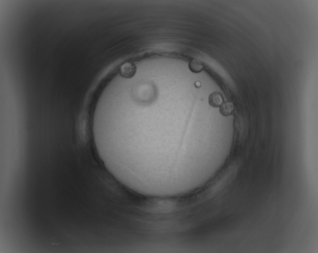 X0000100840878200807070931