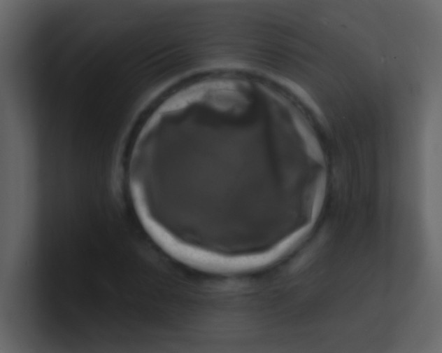 X0000100840879200807070931