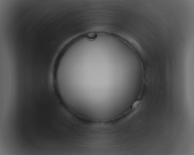 X0000100840880200807070931