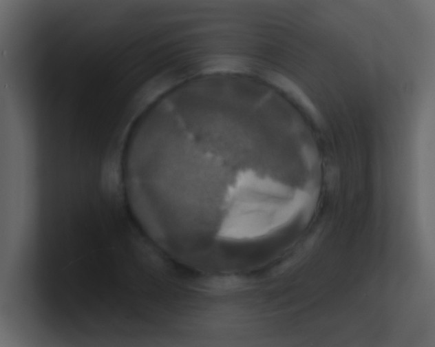 X0000100840882200807070931