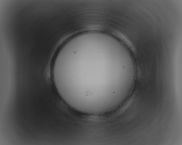 X0000100840883200807070931