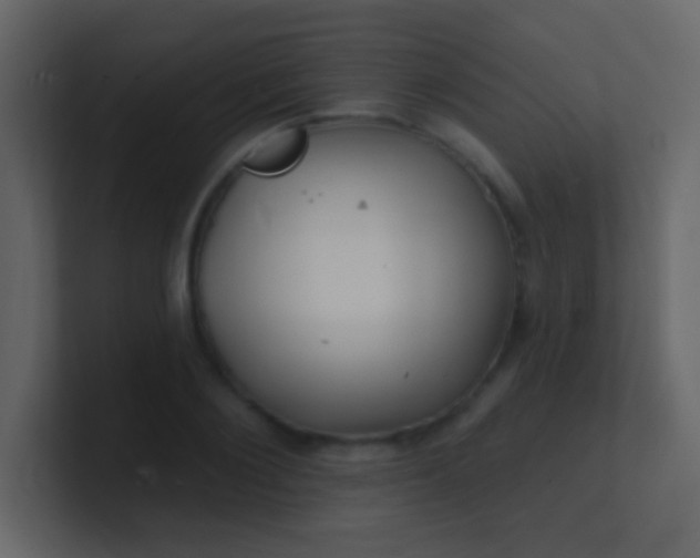 X0000100840884200807070931