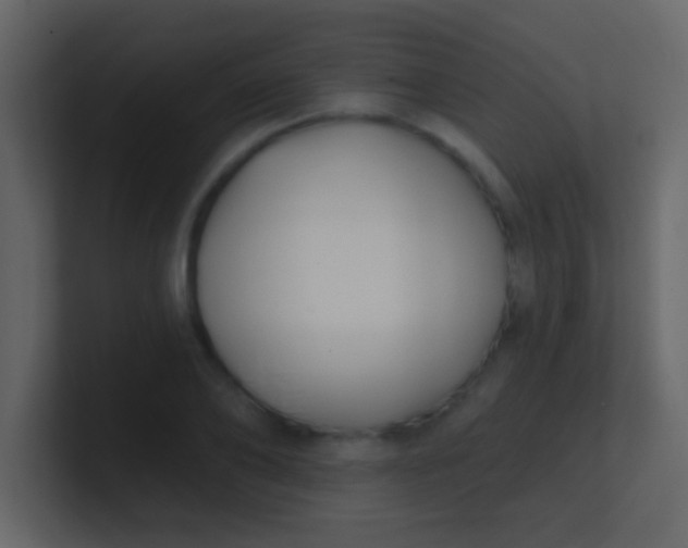 X0000100840886200807070931