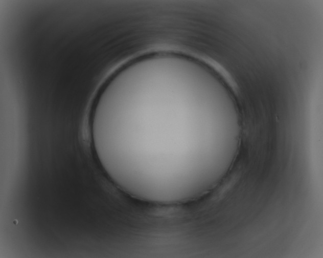 X0000100840887200807070931