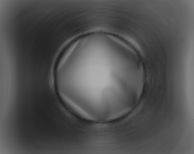 X0000100840888200807070931