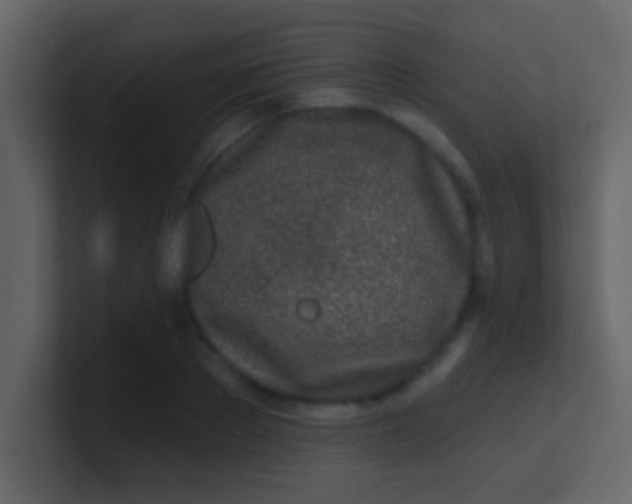 X0000100840889200807070931