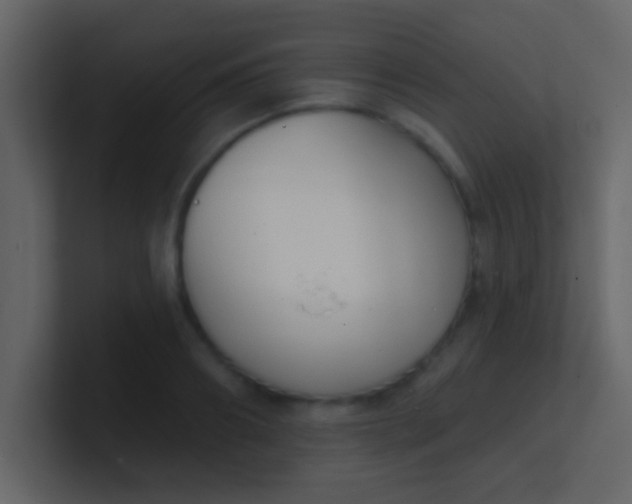 X0000100840890200807070930