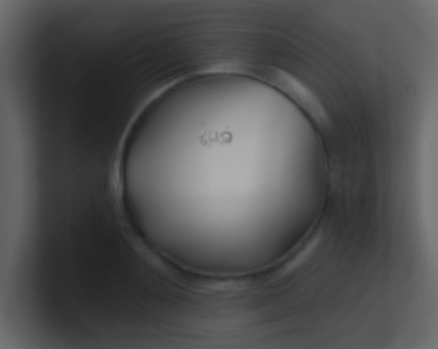 X0000100840892200807070930