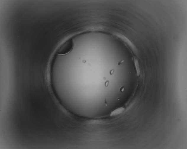 X0000100840894200807070930