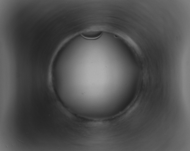 X0000100840896200807070930