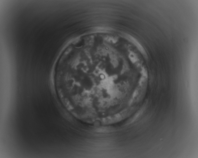 X0000100840899200807070930