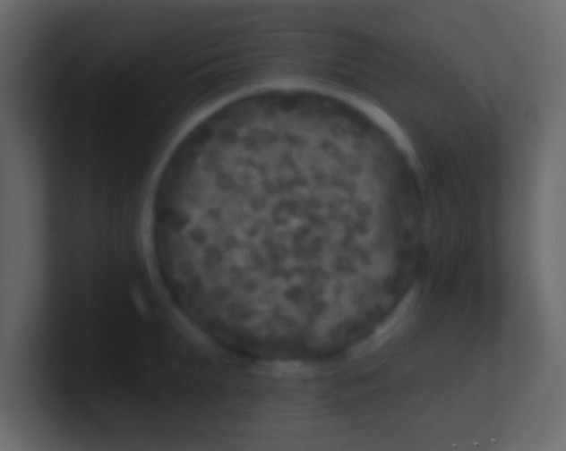 X0000100840903200807070930