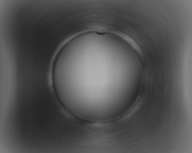 X0000100840904200807070930