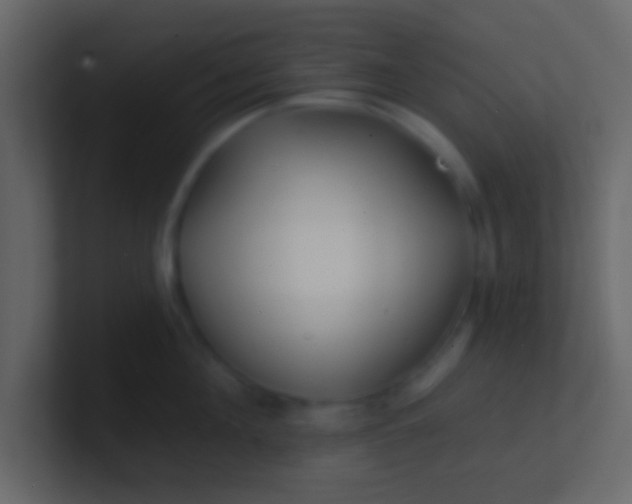 X0000100840908200807070930