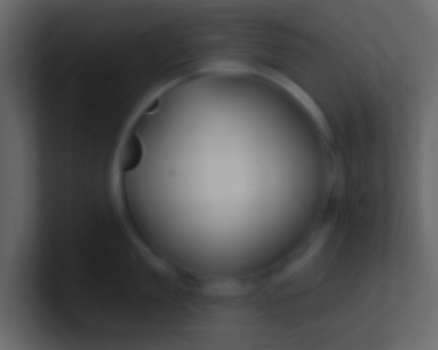 X0000100840909200807070930