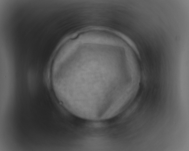 X0000100840911200807070930