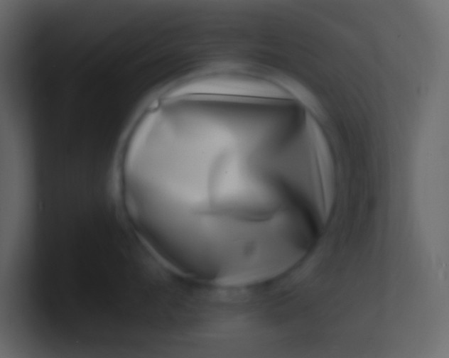 X0000100840912200807070930