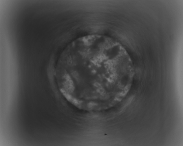 X0000100840913200807070930