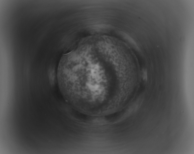 X0000100840915200807070930