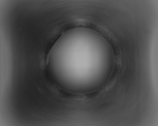 X0000100840916200807070930