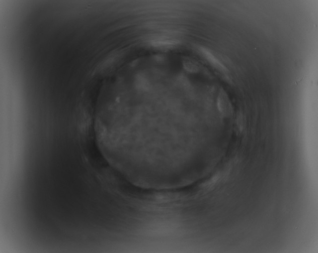 X0000100840917200807070930