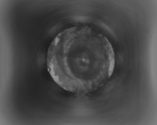 X0000100840918200807070930