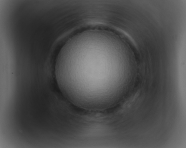 X0000100840919200807070930