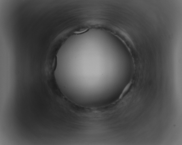 X0000100840920200807070930