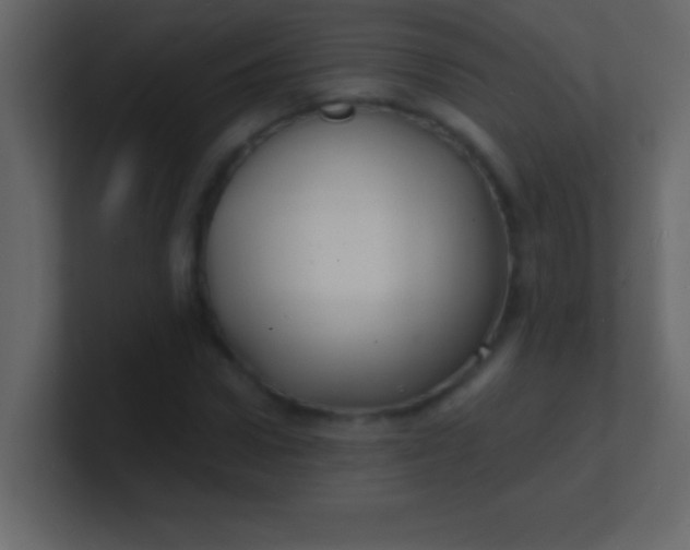 X0000100840922200807070930