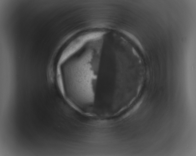 X0000100840925200807070930