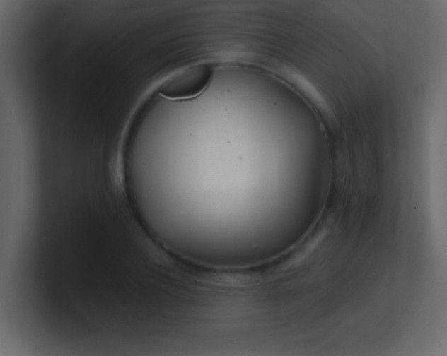 X0000100840932200807070930