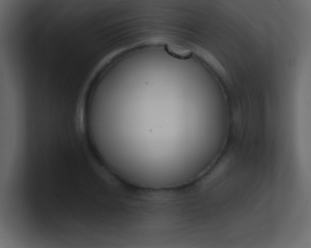 X0000100840934200807070930