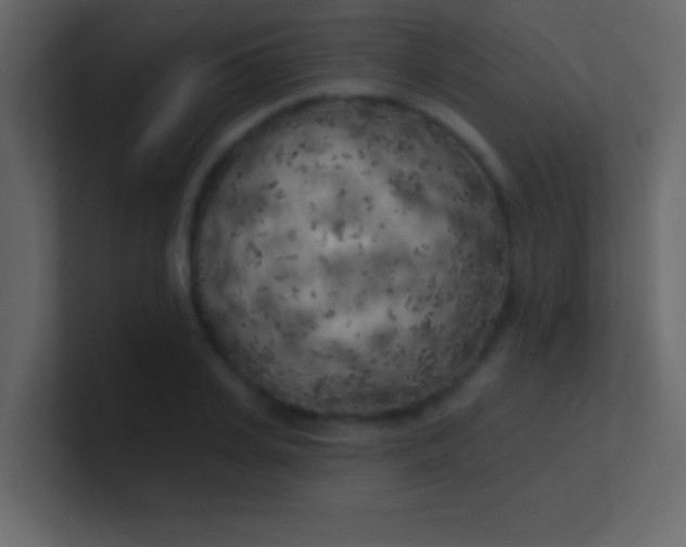 X0000100840935200807070930