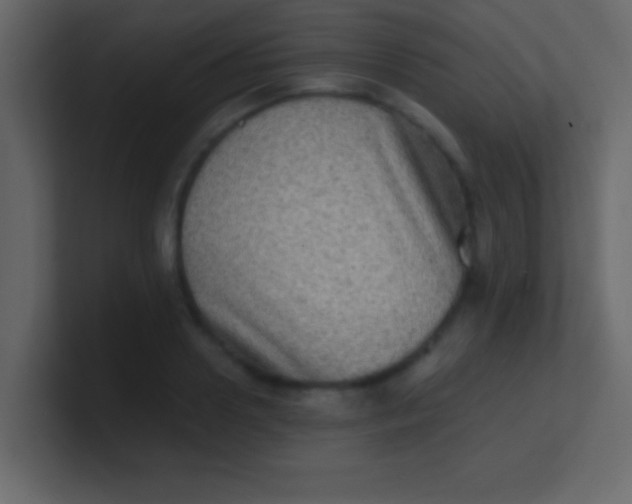 X0000100840938200807070930