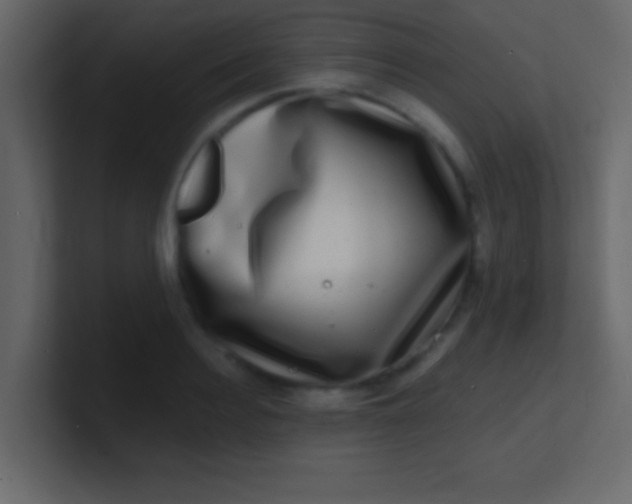 X0000100840940200807070930