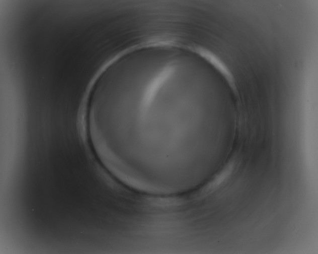 X0000100840941200807070930