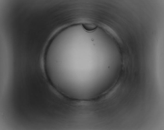 X0000100840942200807070930