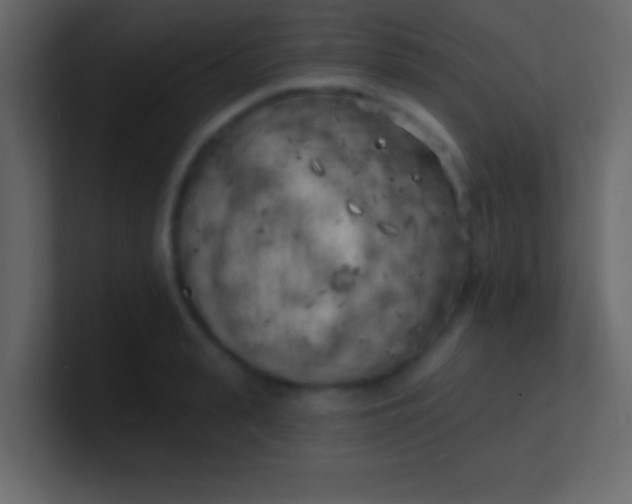 X0000100840943200807070930