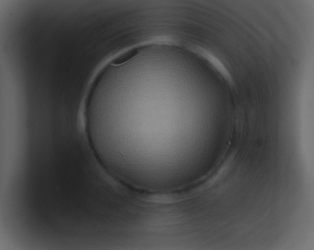 X0000100840944200807070930