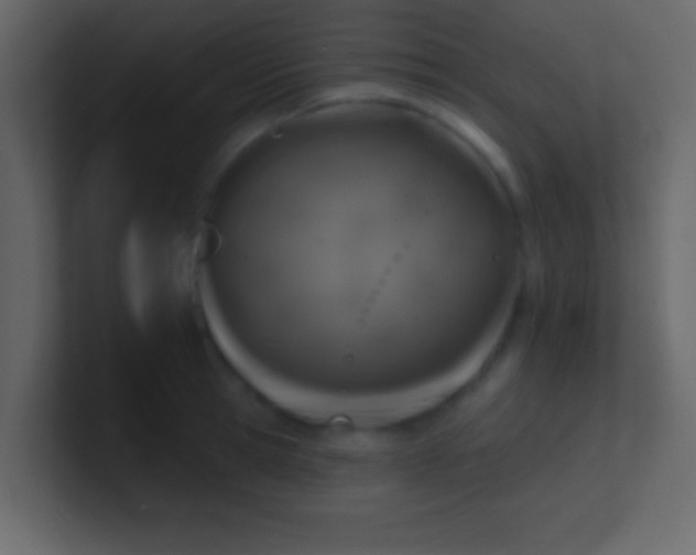 X0000100840945200807070930