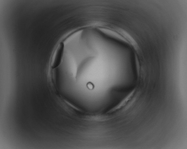 X0000100840948200807070930