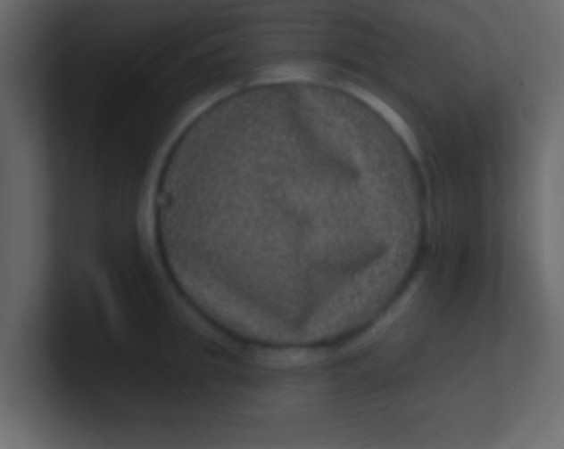 X0000100840949200807070930