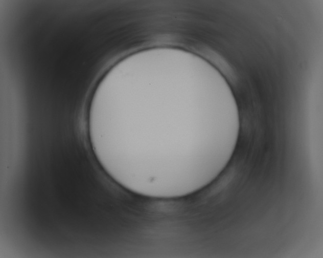 X0000100840950200807070930