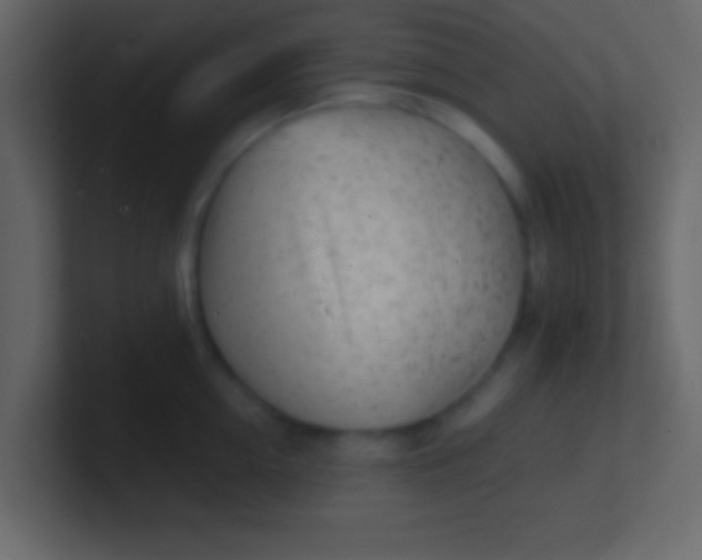 X0000100840954200807070930