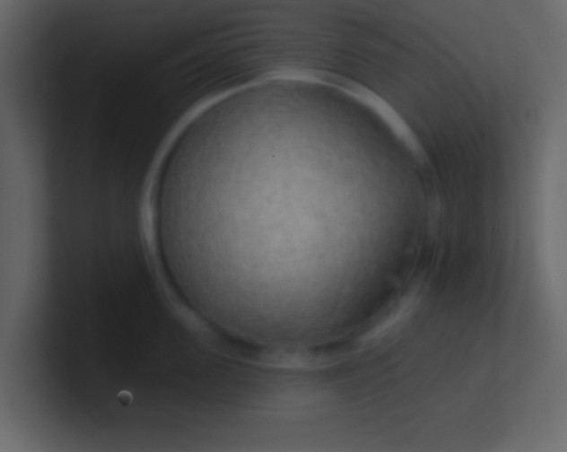 X0000100840955200807070930