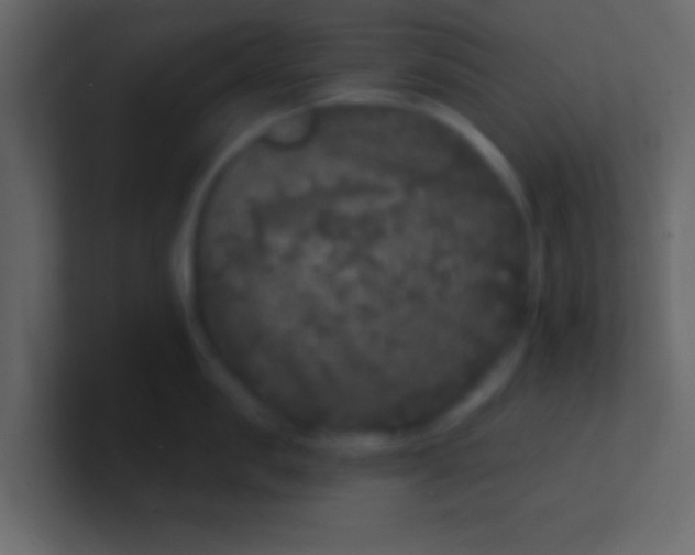 X0000100840957200807070930