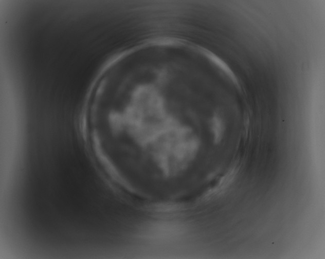 X0000100840959200807070930