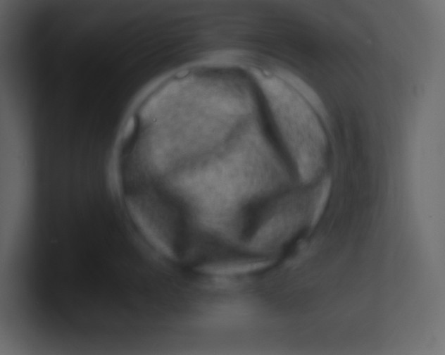 X0000100840960200807070930