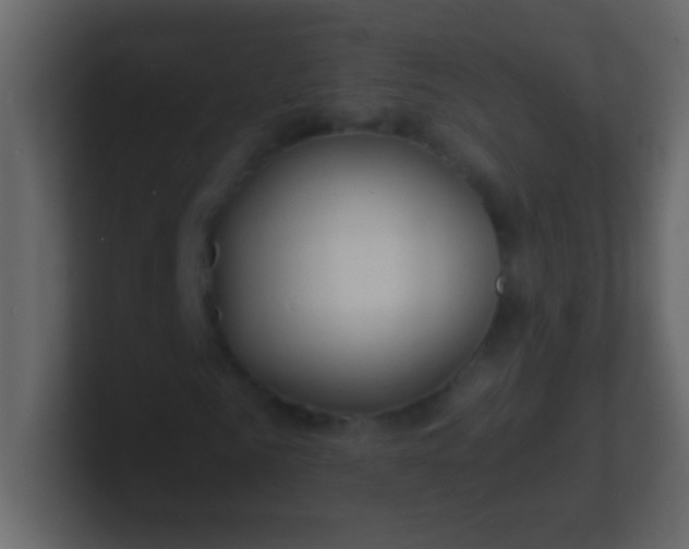 X0000100840961200807070930